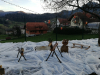 Praznična čajanka v Vrtcu Kompole in Podružnični osnovni šoli Kompole