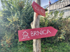 Brnica3